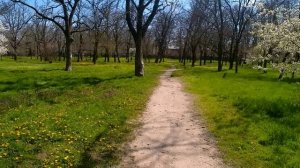 Зелёная зона парка!