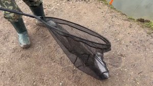 Четвертый хвост в зачёте у Александра