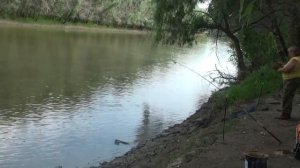 Суховская протока.Вода упала.Клёв слабый.....