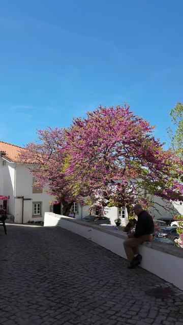 Hidden Medieval Town in Portugal  You’ve Probably Never Heard Of Ourém  #Shorts #Ourem #portugal