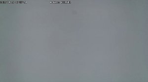 LIVE: channel43489494