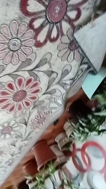 типичный стандоф2