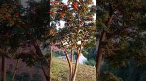 Мой Екатеринбург в Августе 😌💃💫 2023... My Yekaterinburg in August 2023,💕