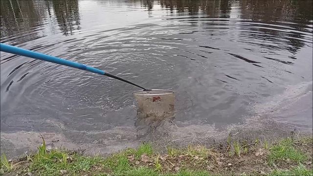 Работает бомбарда в активную проводку. Обзор с Нижнего пруда. Клёвое место лосиный остров.