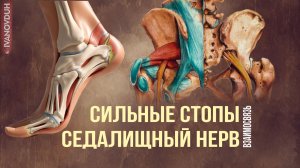 СИЛЬНЫЕ СТОПЫ и СЕДАЛИЩНЫЙ НЕРВ
