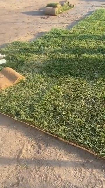 Укладка рулонного газона под ключ | GAZON GROUP | Москва и область