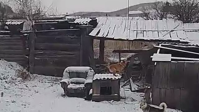 Огонь в печи.