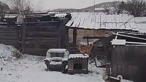 Огонь в печи.