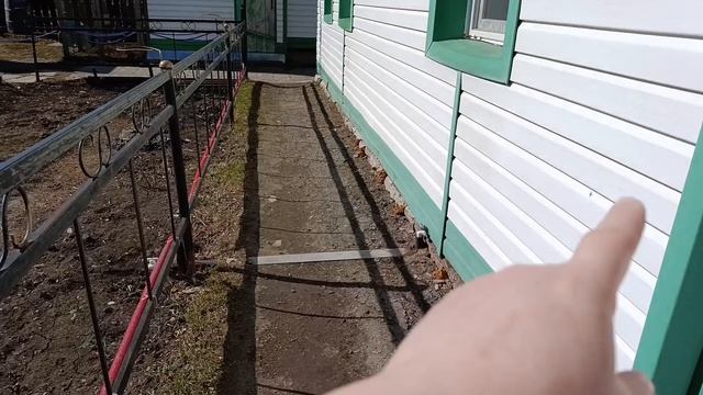 Смотреть даже больно