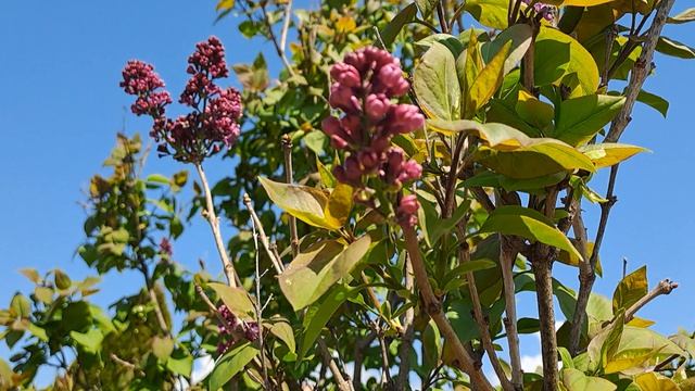 Сегодня был отличный день !!!