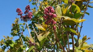 Сегодня был отличный день !!!