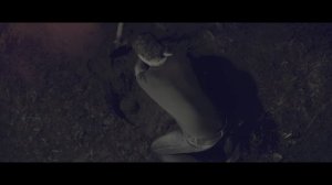 Moonbeam feat Avis Vox - Madness (Official Video) (720p,60fps)