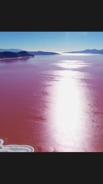 вовлеченность взаимодействие активность лайки тренды медиа