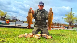 Не ожидали такого клева сазана на эту снасть Рыбалка в Астрахани