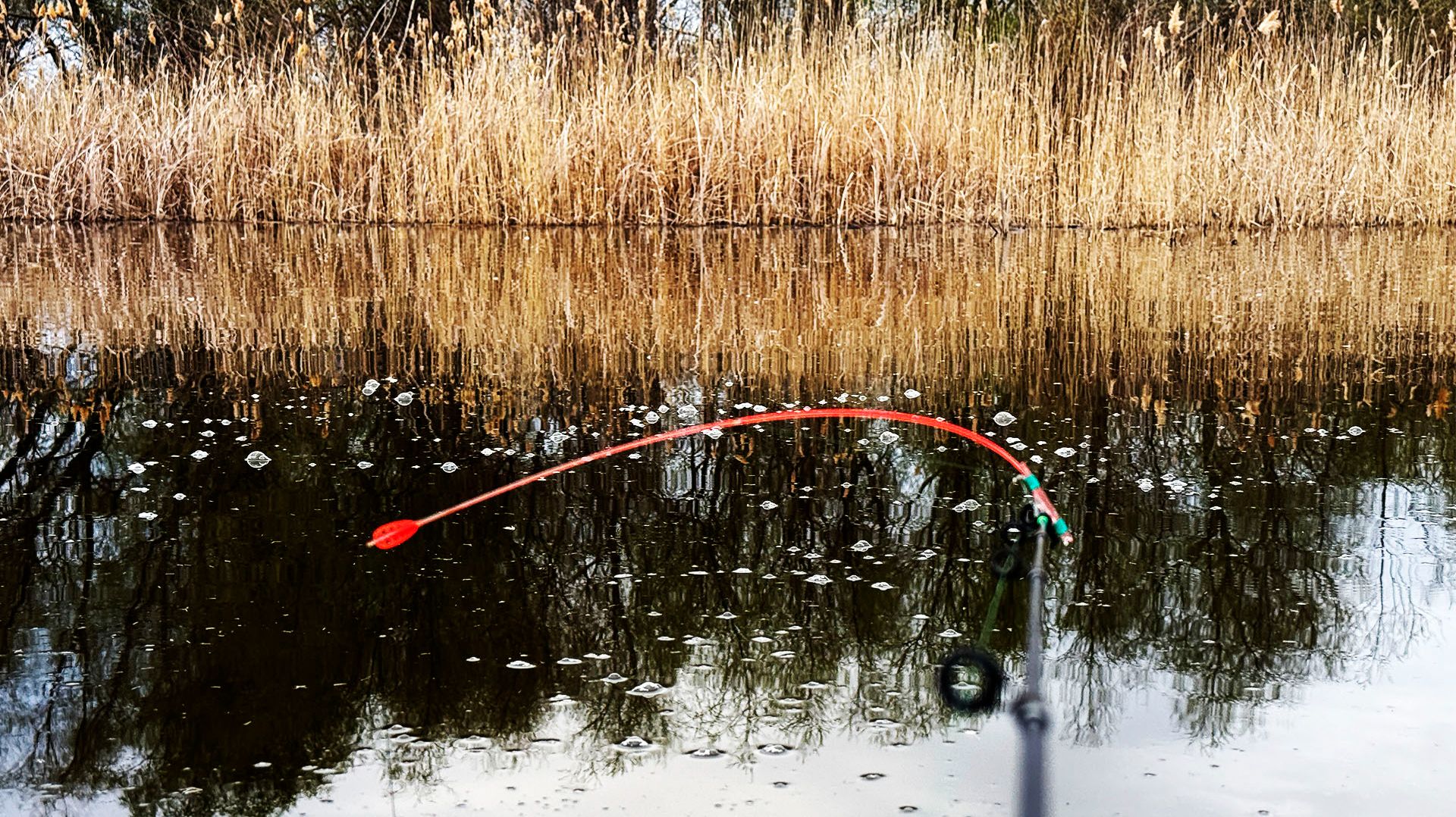 Я в ШОКЕ от этой УДОЧКИ! Боковой кивок просто косит карася!