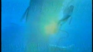 Рекламные блоки и анонсы (СТС, 16.04.2007)