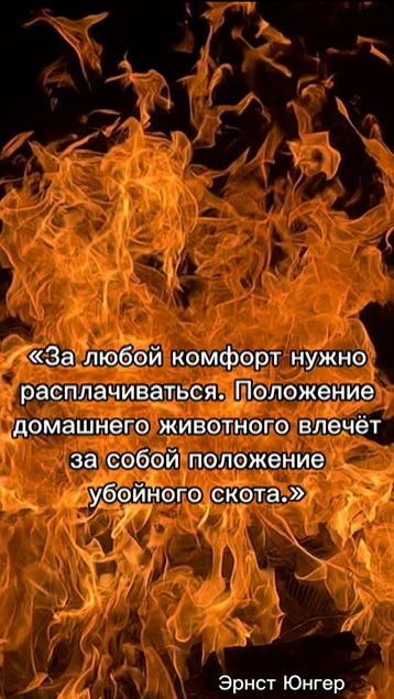 ЗАЙМИСЬ СНАЧАЛА СОБОЙ