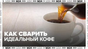 Итальянский эксперт назвал главные критерии идеального кофе - Москва 24