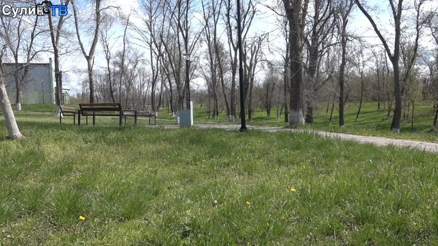 Хороший день