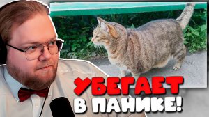 T2x2 РЕАКЦИЯ на Толстого Кота Степу! 😂 Убегает от Собаки в ПАНИКЕ!