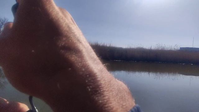 Крупные караси и судаки на МОРМО!. Навахо мормышка 168..Чать 1-я