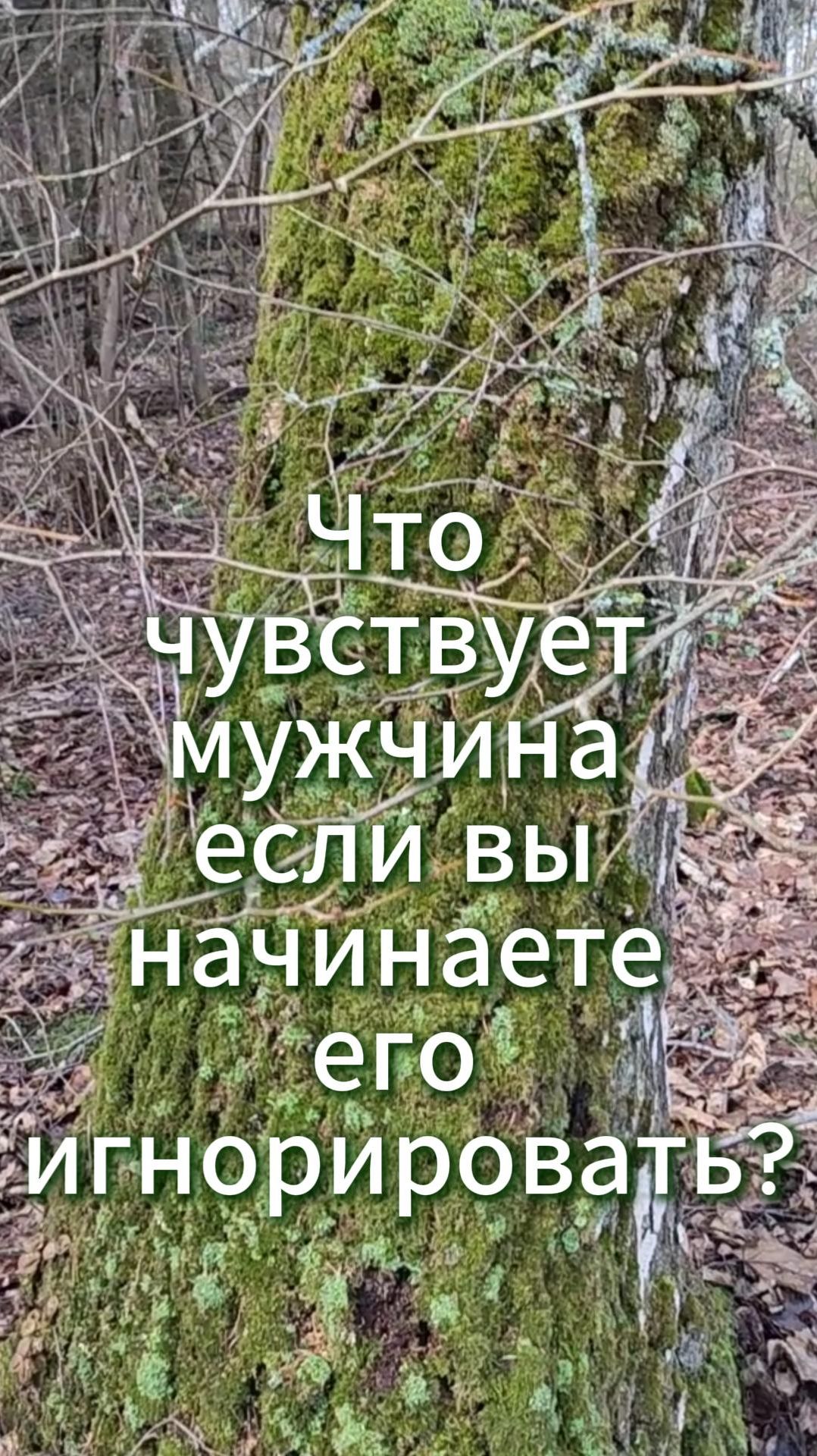 Что чувствует мужчина если вы начинаете его игнорировать?