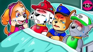 Щенячий патруль и Маршалл. Залипательное видео. Мультфильм для детей и малышей. Анимация 413
