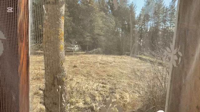 Продажа дома в деревне рядом с озером Волосовский р-он ЛО