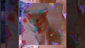 1000056198.mp4 (Собака наблюдает за устройством лестницы на 2-ой этаж в доме А-фрейм)