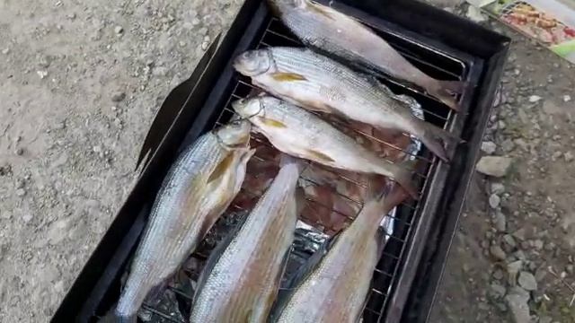 Готовим Хариуса горячего копчения