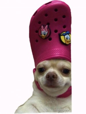 в̠ы̠ш̠и̠в̠а̠ю̠