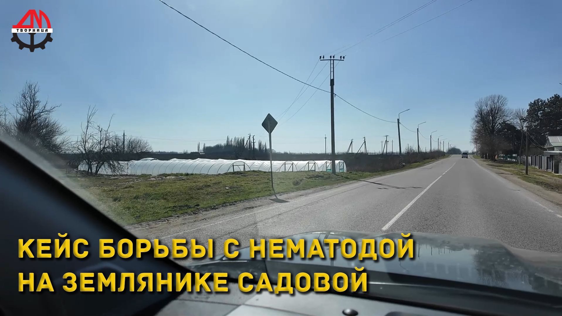 Кейс борьбы с нематодой на землянике садовой