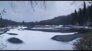 О. Берггольц.  Пусть голосуют дети