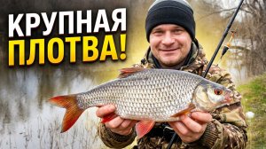РЫБАЛКА НА ПОПЛАВОК КАК В ДЕТСТВЕ.НАЛОВИЛ КРУПНОЙ ПЛОТВЫ.