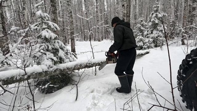 Поездка в лес. Солонцы.Лоси. Тестирование пускового.