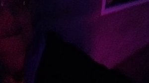 16.04.26. Долго не могла его разжечь. Взвейтесь кострами синие ночи...