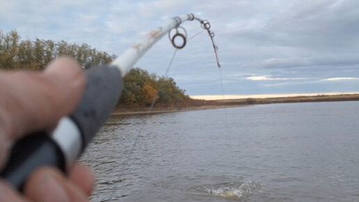 Рыбалка на Амуре! Спиннинг в дугу!Рыба на каждом забросе! Супер рыбалка