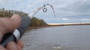 Рыбалка на Амуре! Спиннинг в дугу!Рыба на каждом забросе! Супер рыбалка