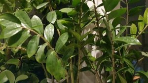 Вернуть бы...