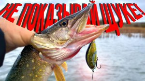 🔴 Воблер, который нельзя показывать щуке! Рыбалка весной на спиннинг!🔥💪🔥