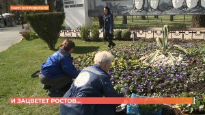 Зацветут к маю: в Ростове начались высадки цветов в городских парках