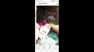 Что если посадить чеснок не посадочный что будет?