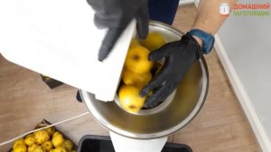 ТЕСТ ИЗМЕЛЬЧИТЕЛЯ ОВОЩЕЙ И ФРУКТОВ «ЗАГОТОВЩИК» (САМУРАЙ 2.0)