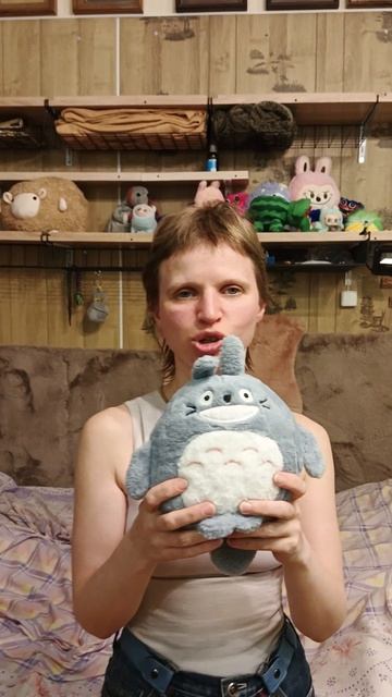 Мне подарили игрушка Сосед Тоторо.