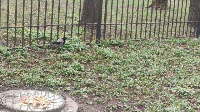 16 апреля  магический прогноз от волшебника