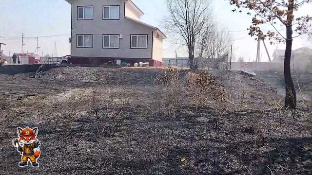 Ландшафтный пожар при сильном ветре.