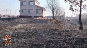 Ландшафтный пожар при сильном ветре.