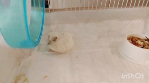 У Метруси началось лечение.