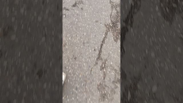 по домофонам