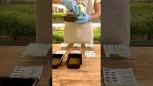 Инструкция на набор выращивания